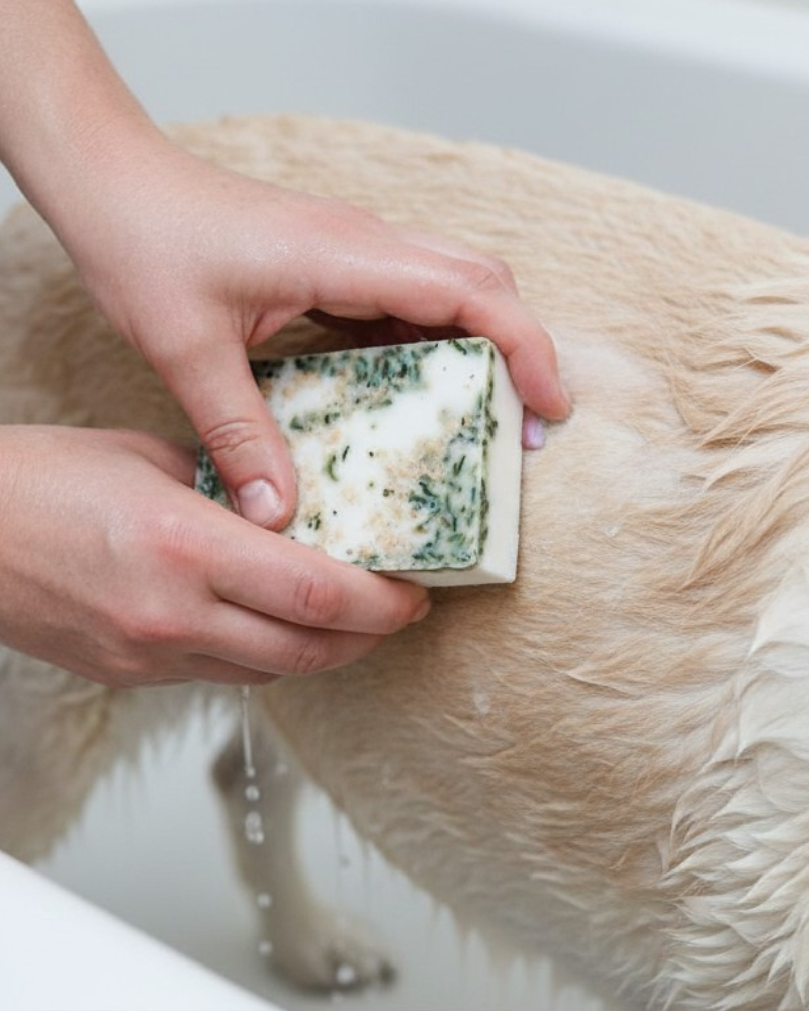 Triple Butter Lavender Mint Dog Shampoo Bar