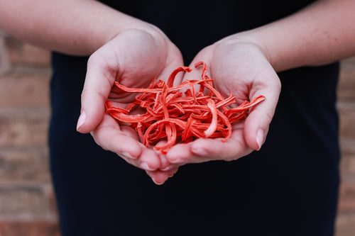 Dehydrated Organic Carrots